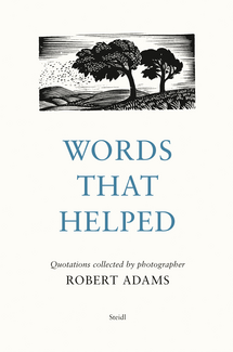 アート・デザイン・音楽 Tree Line by Robert Adams The Hasselblad Adams-Tree-Line-Cover-1.jpg
